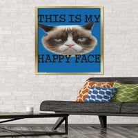 Grumpy Cat - Poster zidnog lica, 22.375 34