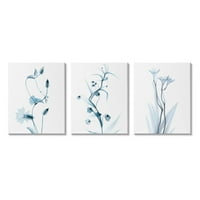 Stupell Industries estetski minimalistički plavi Botanički cvjetni dizajn 20, dizajn Albert Koetsier