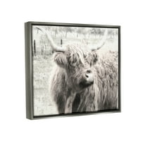 Stupell Industries Rustikalna Farma Highland goveda krava jednobojna fotografija fotografija sjaj siva plutajuća uokvirena platna Print zidna umjetnost, dizajn grafitee Studios