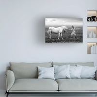 Ata Alishahi' Njen Bijeli Konj ' Platno Umjetnost