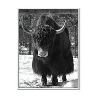 PROIZVODNJAČA PORTRET MONOHROMOM WILD bika u zimskoj šumi I 'Seoska kuća uokvirena platna Art Art Print