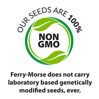 Ferry-Morse 14G pasulj, vrt francuski filet biljne biljke sjemenke paketa