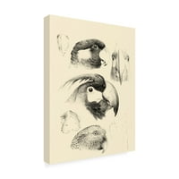 Vision Studio 'Waterbird Sketchbook III' platno Art