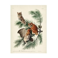 John James Audubon' Little Screech Owl ' Platno Art
