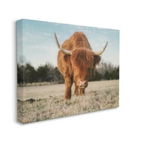 Stupell Farmhohouse Highland Cather Ranch Životinje i insekti Fotografija Galerija zamotana platna Print