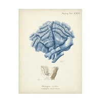 Johann Esper 'Antique Coral in Navy II' platno Art