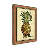 Zaštitni znak likovne umjetnosti' štampani ananas Splendor II ' platno Art by Vision Studio