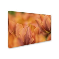 Zaštitni znak likovne umjetnosti' narandžasti tulipani ' platnena Umjetnost Cora Niele