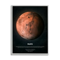 Stupell Home Décor Industries Mars Red Planet Infographic Astrological Facts Outer Space, 14, Designed