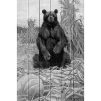 Marmont Hill medvjed u sijenu BW slika Print na bijelom drvetu