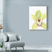 Zaštitni znak likovne umjetnosti 'mala orhideja ljepota II' platno umjetnost Jennifer Goldberger