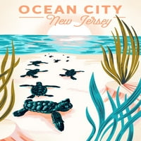 Ocean City, New Jersey, kornjače
