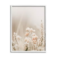 Stupell Industries delikatni cvjetovi divljeg cvijeća fotografija bijeli uokvireni umjetnički Print zidna