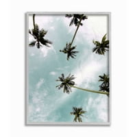 Stupell Industries Sky Through Palms tropska ljetna fotografija koju je dizajnirao Kim Allen