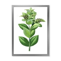 Designart 'drevni zeleni listovi biljke VI' tradicionalni uokvireni umjetnički Print
