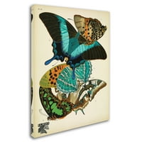 Zaštitni znak likovne umjetnosti 'Papillons 13' Canvas Art by Vintage Apple Collection