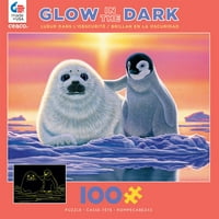 CEACO 100-komad Kids Schimmel Glow prijatelji širom svijeta zagonetna slagalica