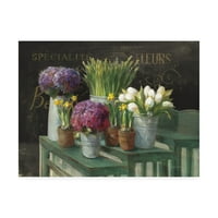 Zaštitni znak likovne umjetnosti' Pergamentno cvijeće VI ' platnena Umjetnost Judy Stalus